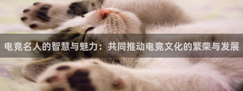 安博电竞最少取100：电竞名人的智慧与魅力：共同推动电竞文化的繁荣与发展