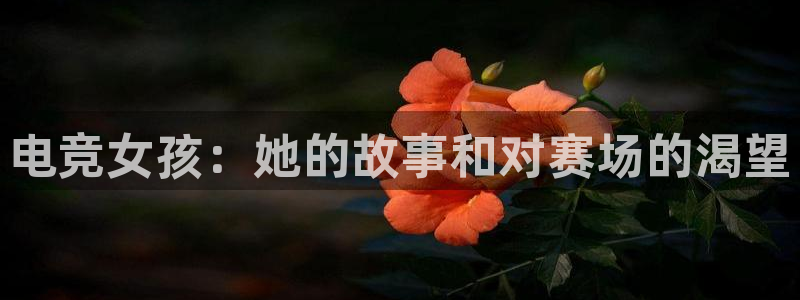 安博电竞入口在哪：电竞女孩：她的故事和对赛场的渴望