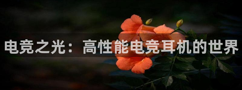 安博电竞最新地址：电竞之光：高性能电竞耳机的世界