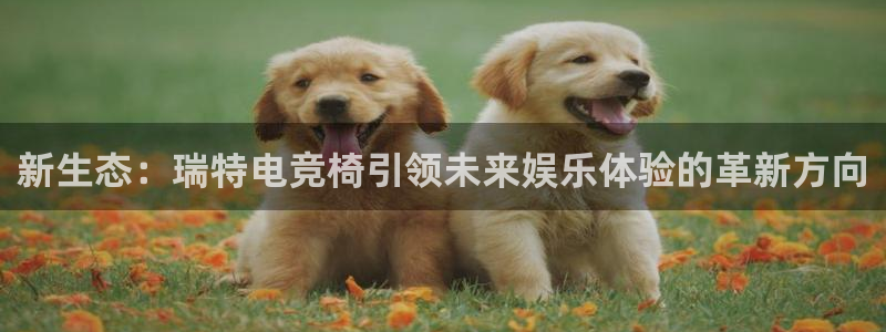 安博电竞怎么登录不了：新生态：瑞特电竞椅引领未来娱乐体验的革新方向