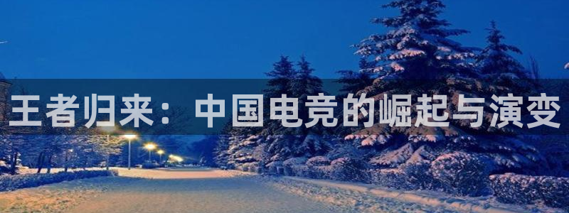 安博电竞网站：王者归来：中国电竞的崛起与演变
