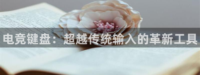 安博电竞登录：电竞键盘：超越传统输入的革新工具