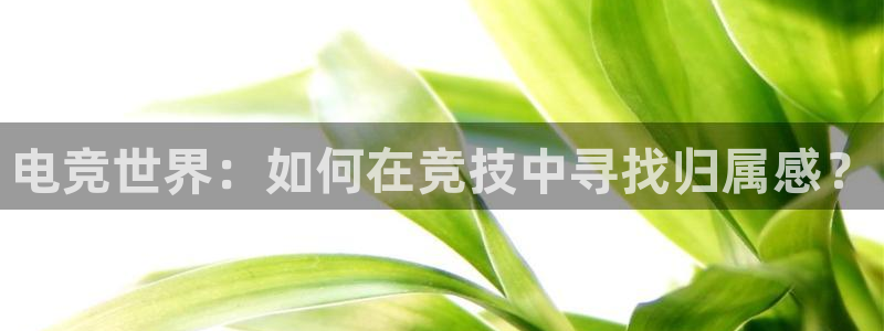 安博电竞苹果：电竞世界：如何在竞技中寻找归属感？
