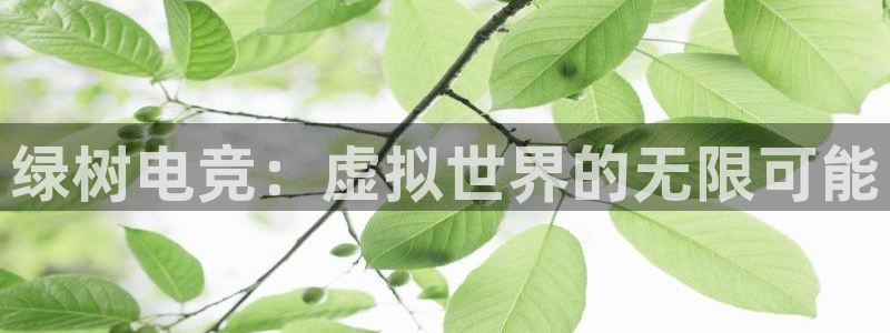安博电竞网上官网下载：绿树电竞：虚拟世界的无限可能