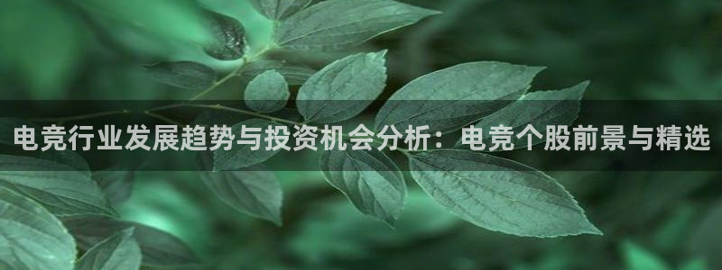 安博电竞官方网站入口手机：电竞行业发展趋势与投资机会分析：电竞个股前景与精选